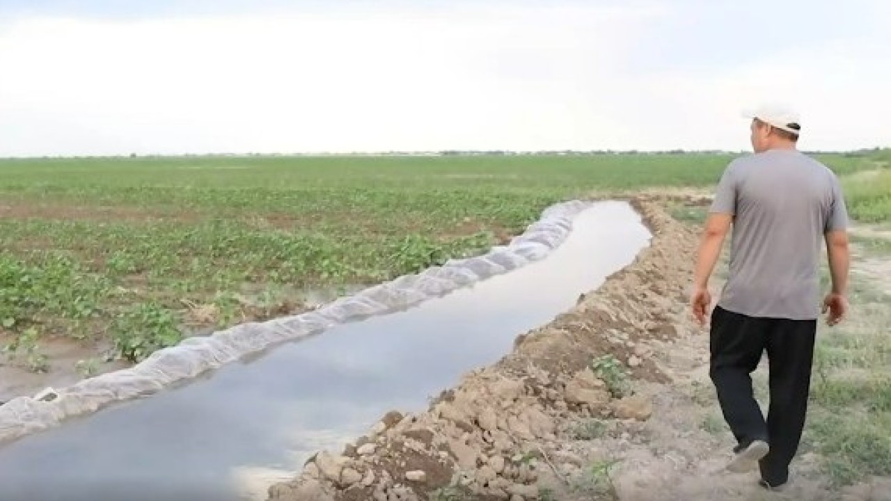 Түркістан облысының Жетісай ауданында мақта алқаптарын суару басталды