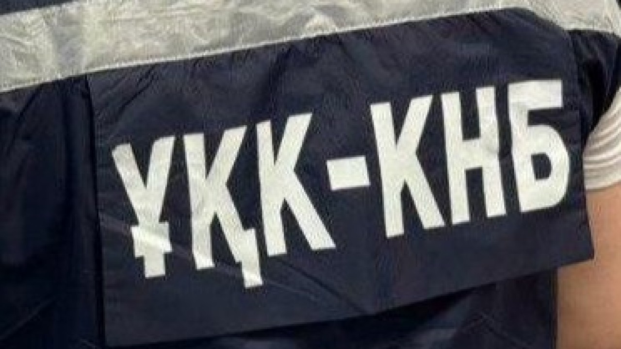 Түркістанда шекарадан жедел өткізу үшін заңсыз делдалдық ұйымдастырған топ әшкереленді