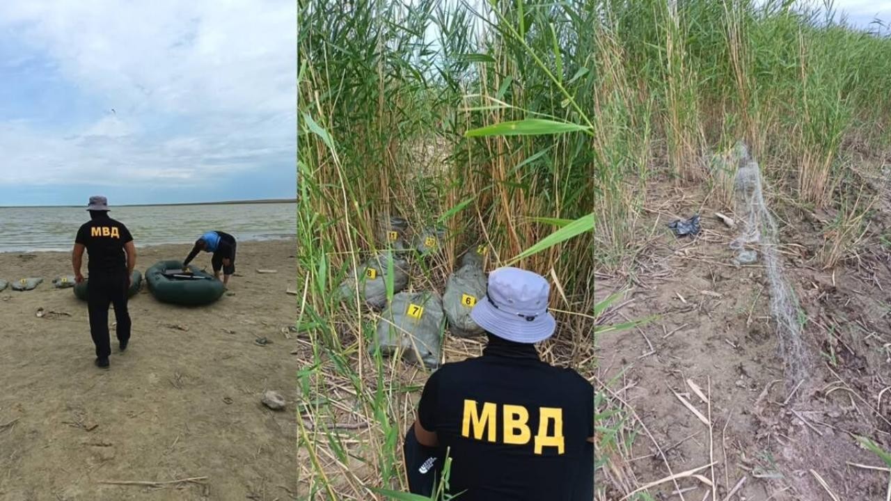 Полиция Ақтөбе облысында ерекше қорғалатын аумақта заңсыз балық аулаудың жолын кесті