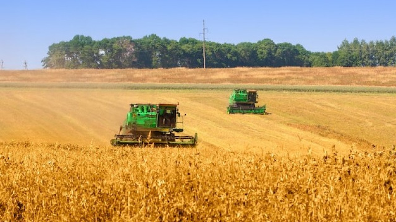 Қазақстанда агроөнеркәсіптің цифрлық экожүйесі қалыптасып келеді – Президент