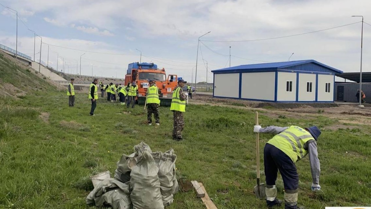 «Таза Қазақстан»: Республикалық автожолдар бойына 3 мыңға жуық ағаш көшеті егілді