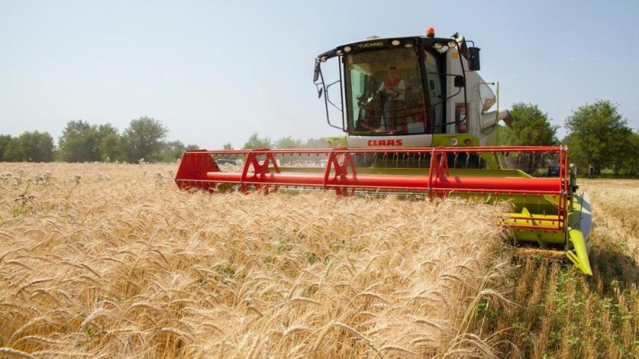 Елімізде 634 мың тонна дәнді дақыл бастырылды