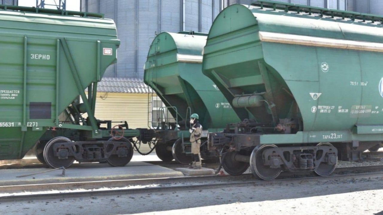 Елімізде бір жылда астық экспорты 12,5%-ға өсті