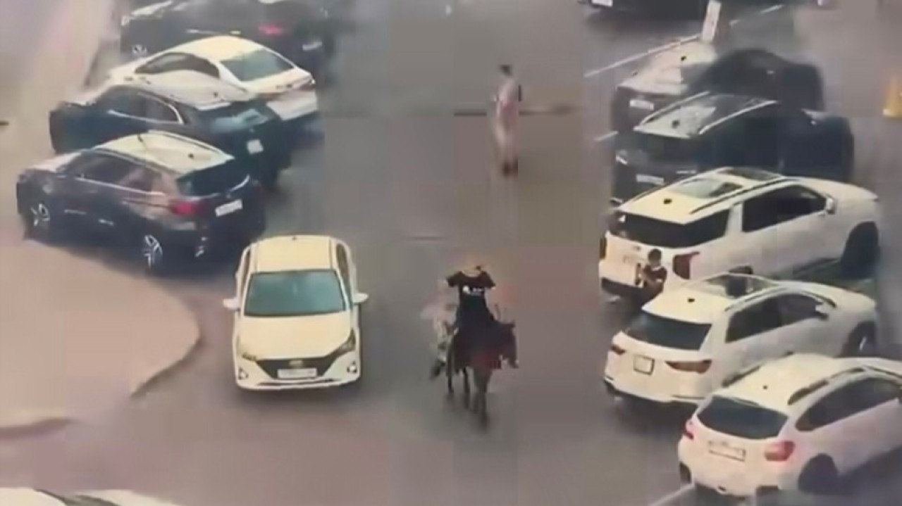 Астанада видео түсіру үшін көшеде атқа мініп жүрген ер адам жауапкершілікке тартылды – ВИДЕО