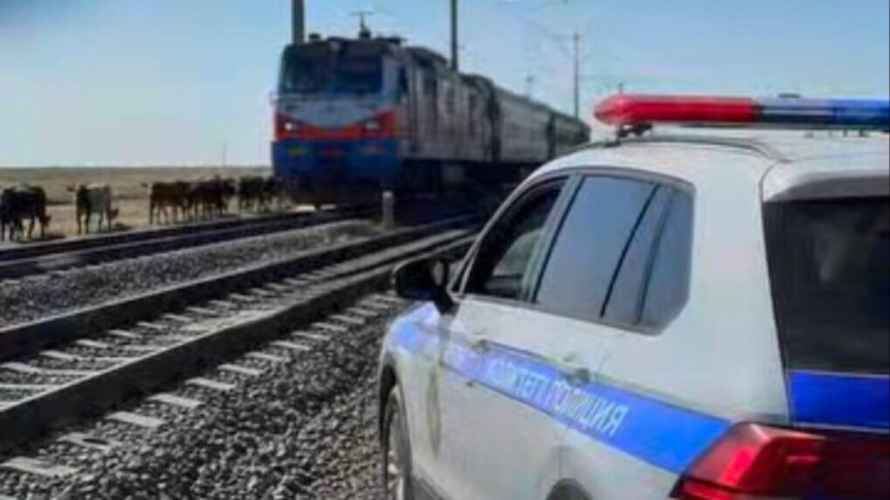 Елімізде теміржол маңында мал жайған 1 364 азамат жауапкершілікке тартылды