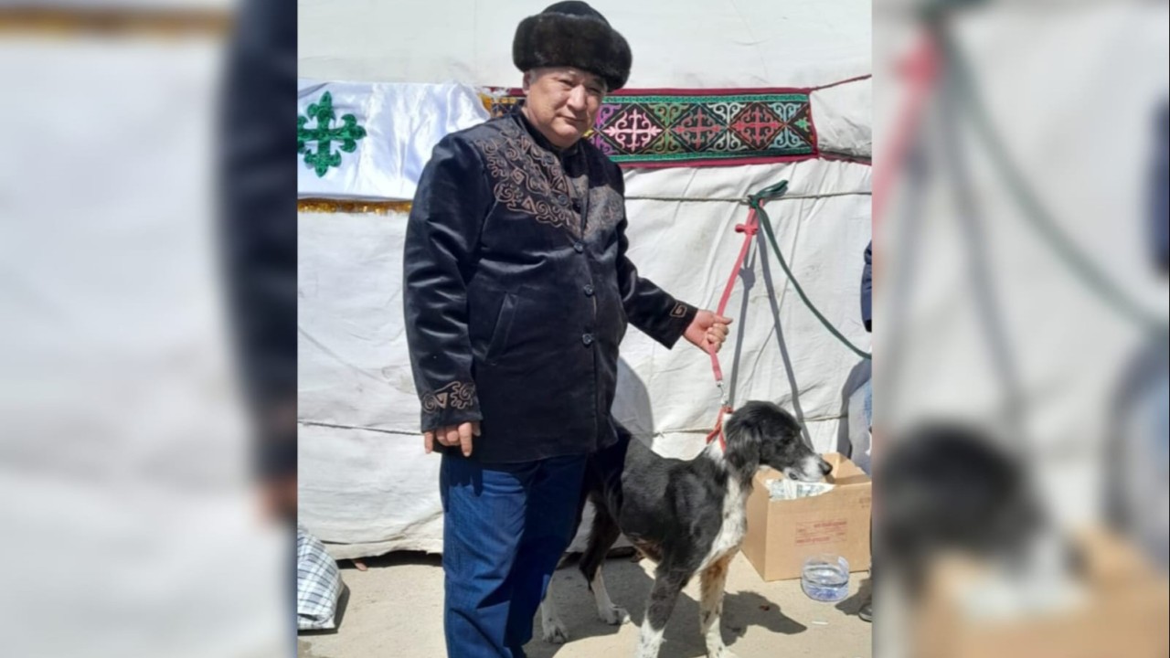 Бағлан Бәйтіков: Тазы үйде ұстауға болатын таза ит