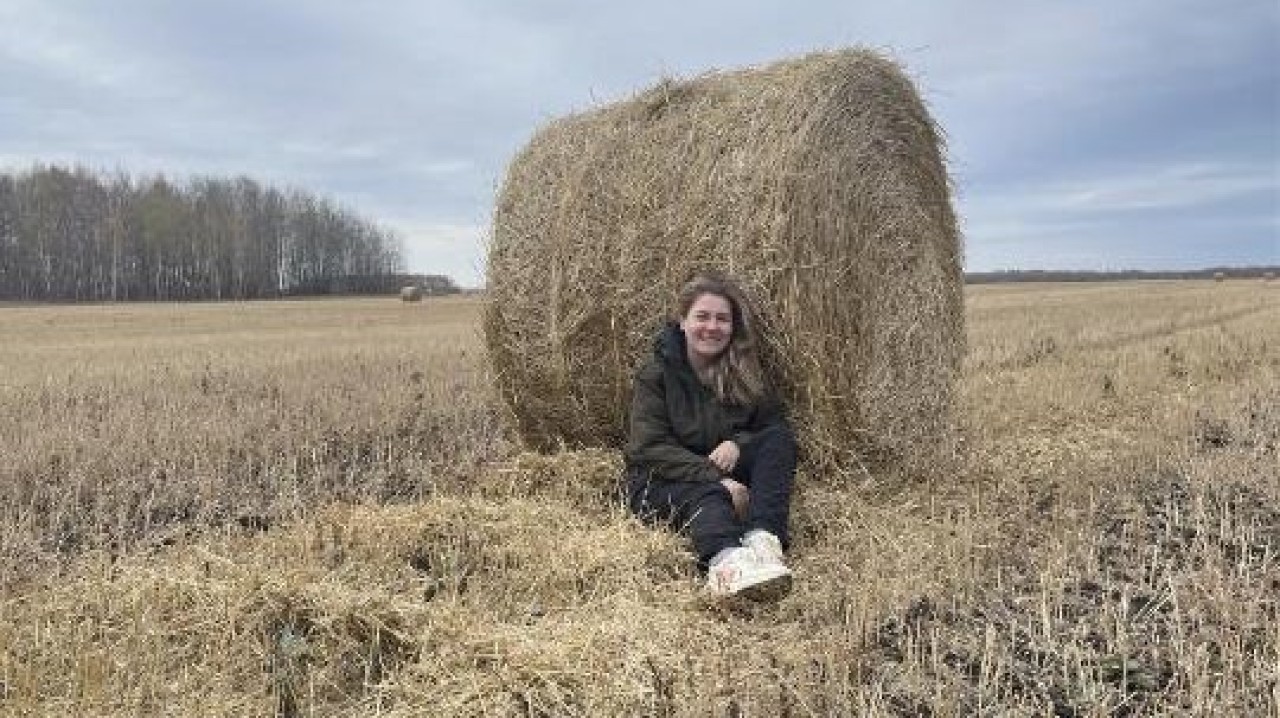 Жалғыз сиырдан басталған кәсіп: «Северное» фермасы 1,7 млрд теңгелік агрокешенге айналды
