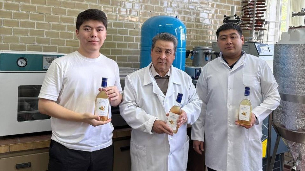 Қазақ ғалымдары бал мен зімбірден жаңа сусын әзірленді