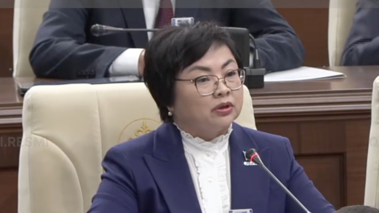 Әлеуметтік желілерде тарихқа қатысты бұрмаланған ақпарат тез таралады – депутат