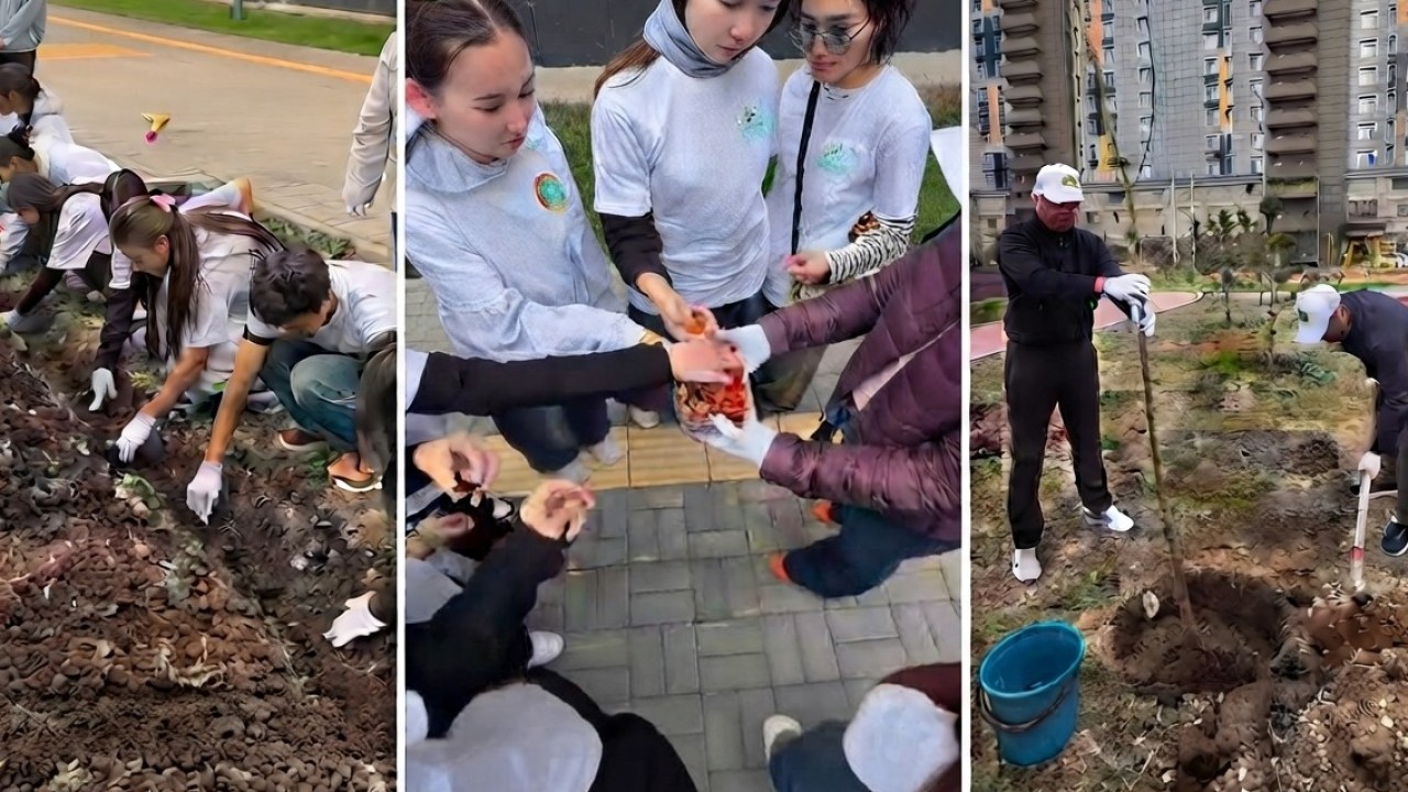 Астана прокуратурасы оқушылармен бірге өрік сүйегін отырғызды