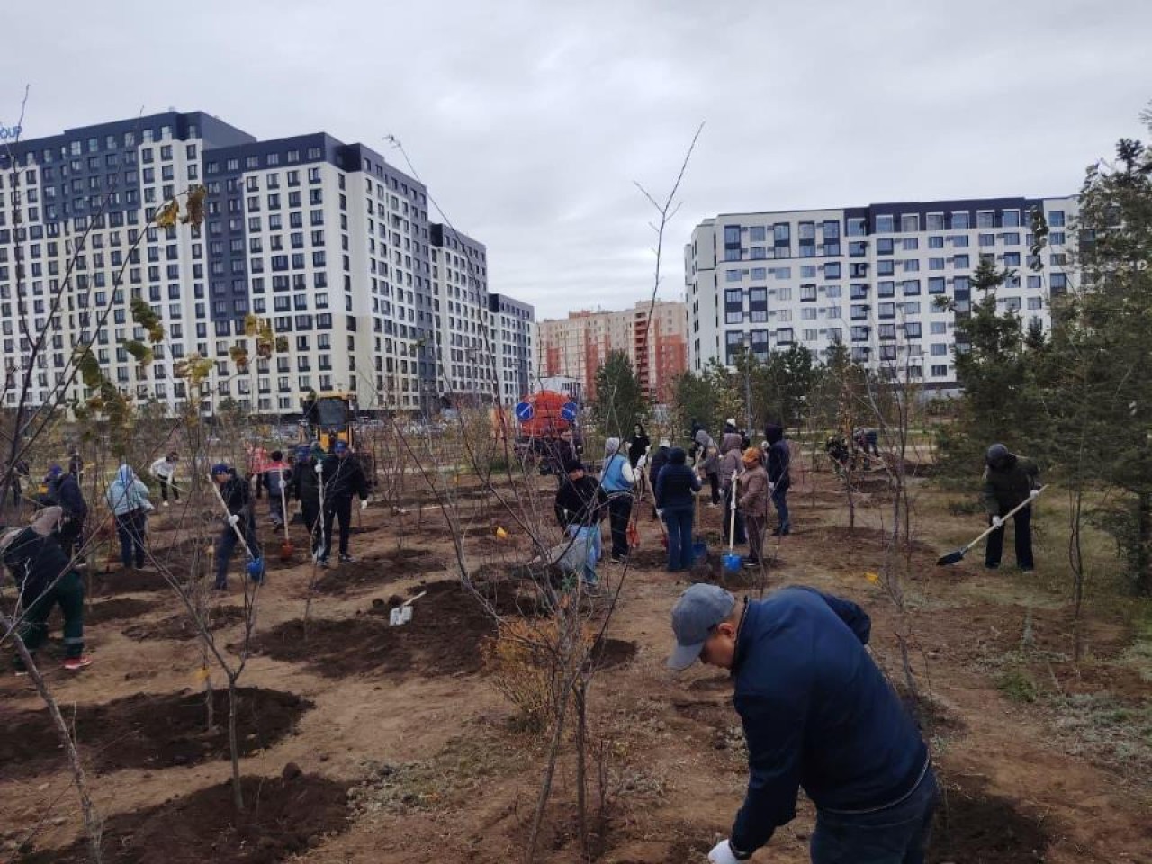 Астанада ауқымды экологиялық айлық өтіп жатыр