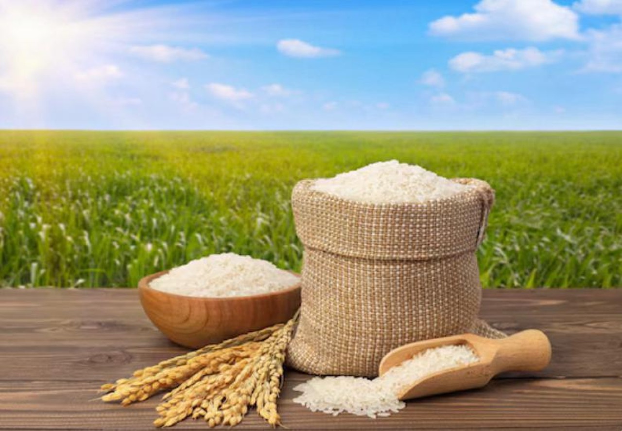Қазақстанда күріш өндірісі мен экспорты өсті
