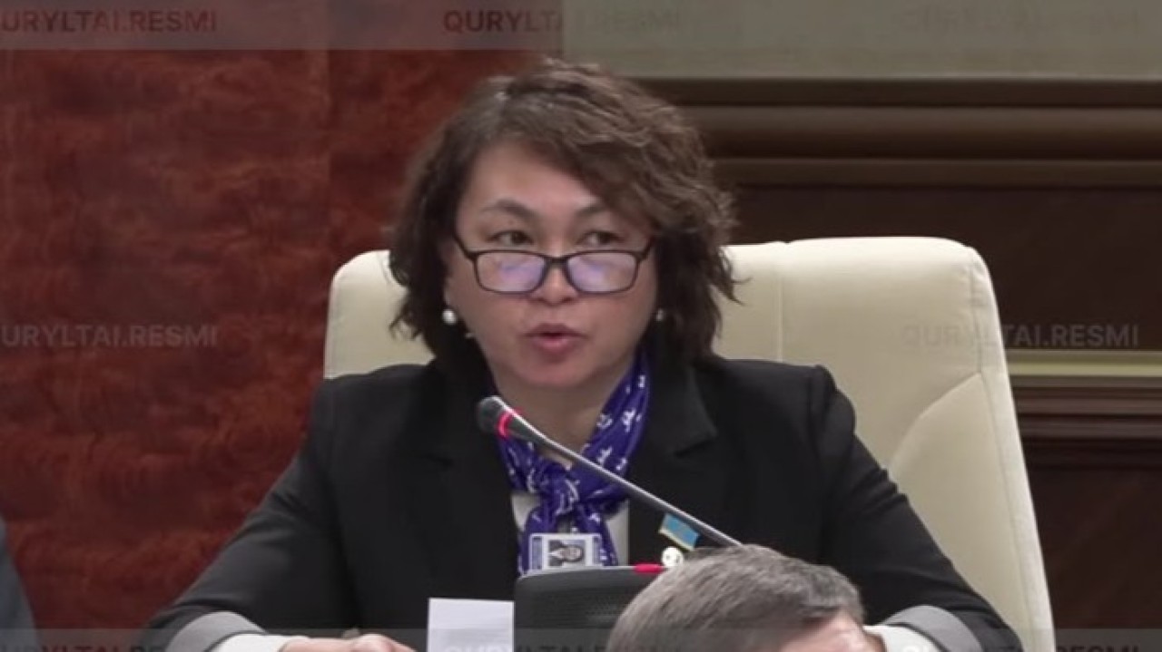 Елдімекендердің кеңеюі: Құрылтай депутаты кәсіпкерлердің құқығын қорғауды сұрады
