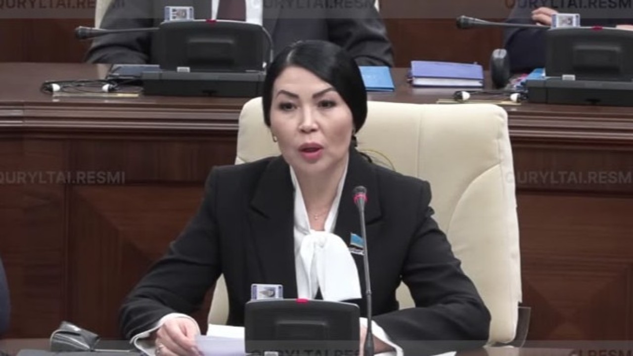Депутат педагог-ассистенттердің 16 сағаттық оқу жүктемесін бекітуді ұсынды