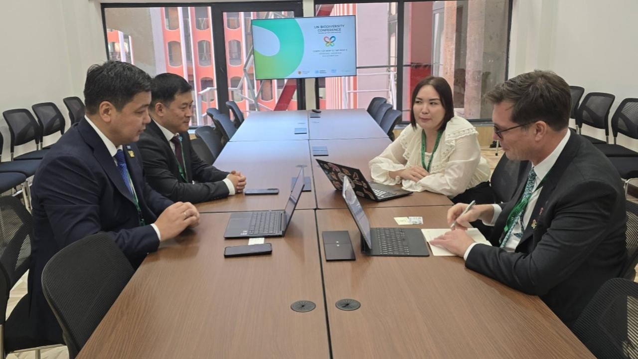 Қазақстанның киікті қорғау тәжірибесі өзге елдерге үлгі ретінде ұсынылды